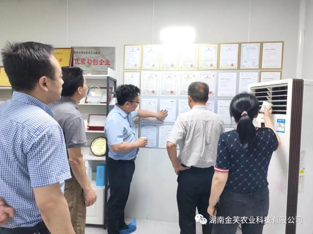 湖南金芙農(nóng)業(yè)科技有限公司,湖南蛹蟲草,湖南羊肚菌,蛹蟲草,羊肚菌,龍新,蟲草酒哪里好,衡陽(yáng)食用菌,衡陽(yáng)羊肚菌,衡陽(yáng)蛹蟲草