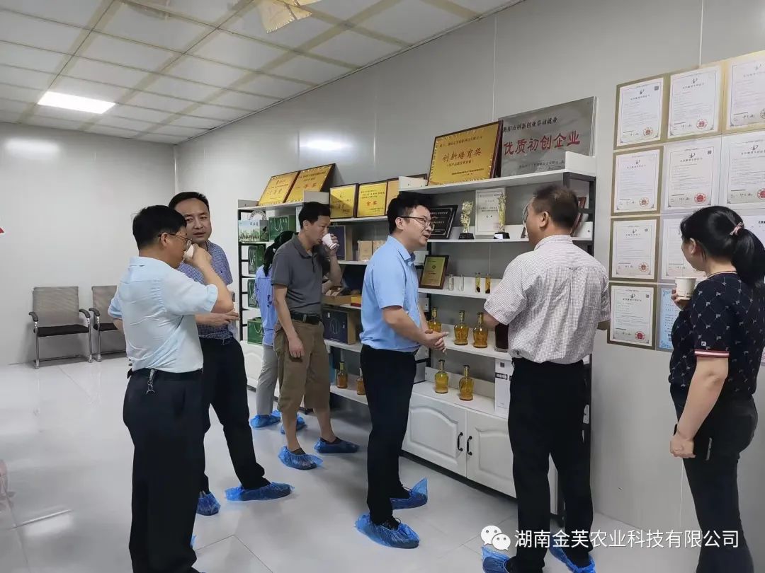 湖南金芙農(nóng)業(yè)科技有限公司,湖南蛹蟲草,湖南羊肚菌,蛹蟲草,羊肚菌,龍新,蟲草酒哪里好,衡陽(yáng)食用菌,衡陽(yáng)羊肚菌,衡陽(yáng)蛹蟲草