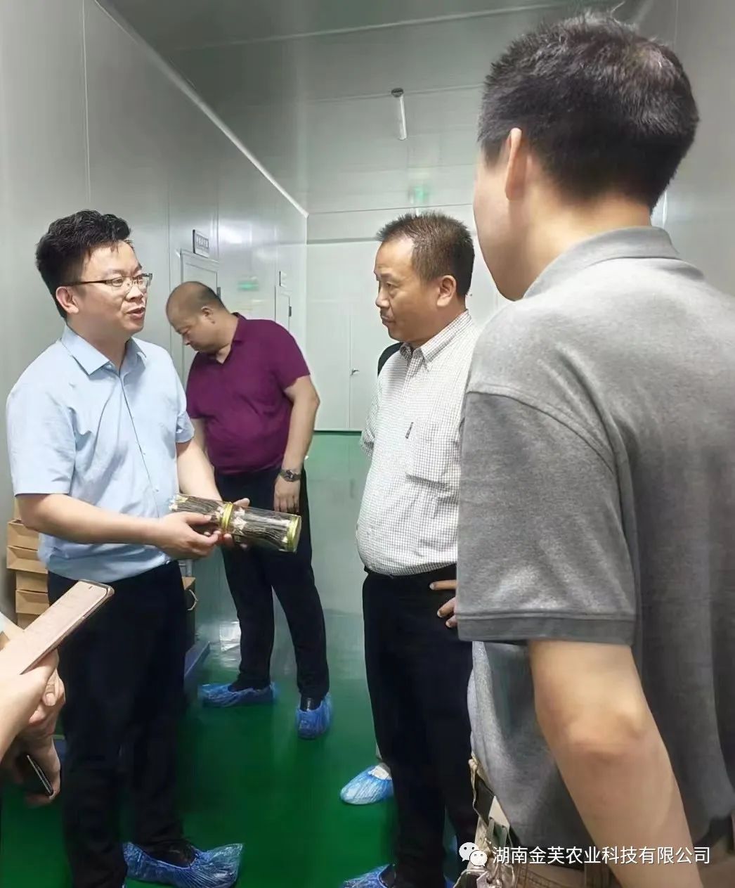 湖南金芙農(nóng)業(yè)科技有限公司,湖南蛹蟲草,湖南羊肚菌,蛹蟲草,羊肚菌,龍新,蟲草酒哪里好,衡陽(yáng)食用菌,衡陽(yáng)羊肚菌,衡陽(yáng)蛹蟲草